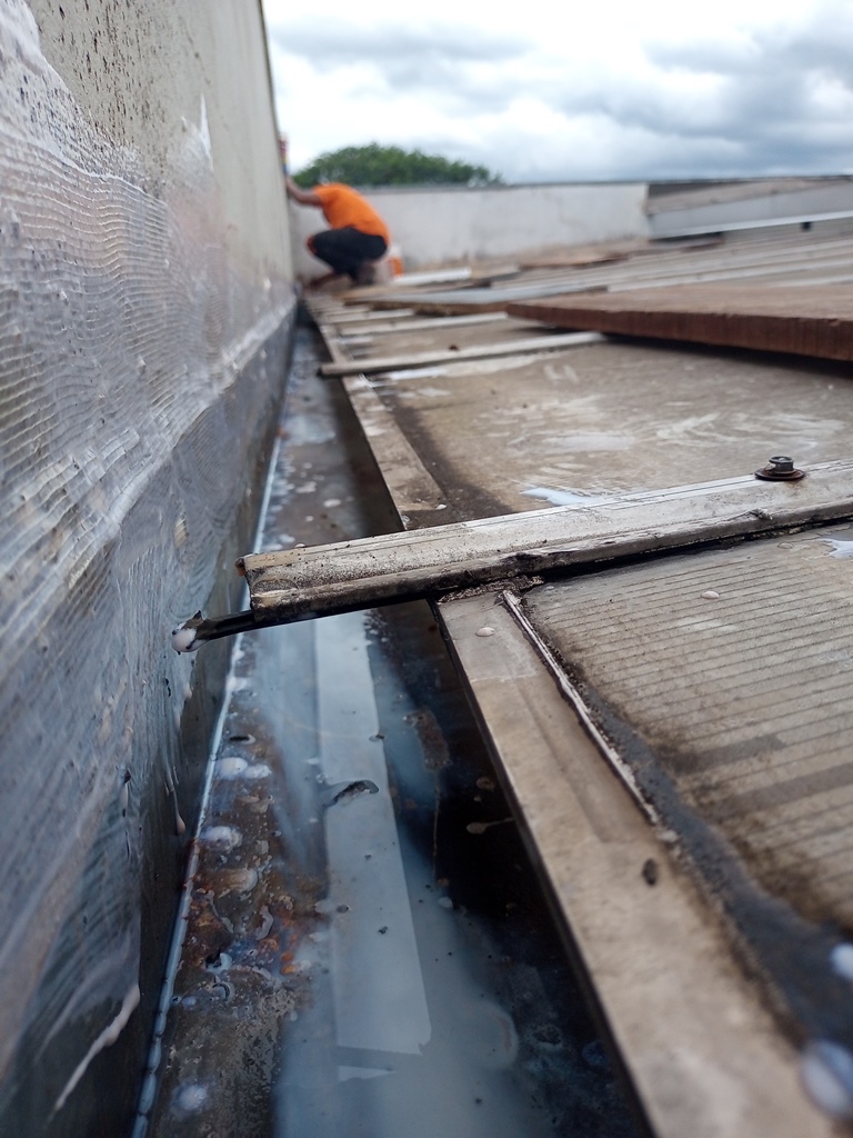 IMG_20250204_111032_702