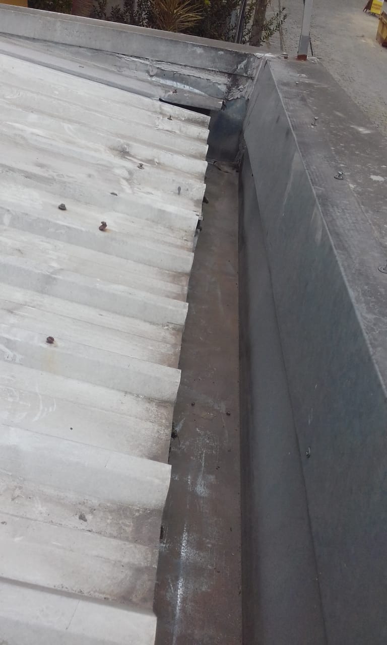 WhatsApp Image 2020-07-29 at 16.25.48