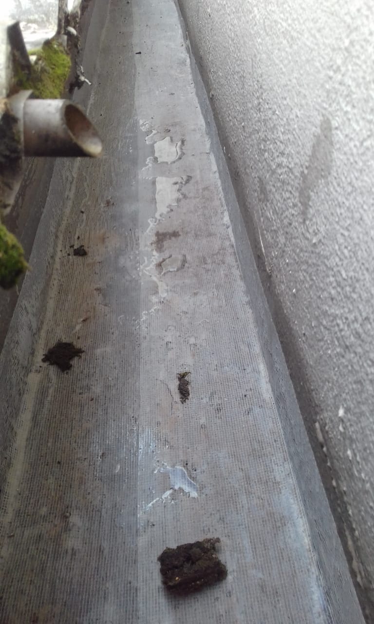 WhatsApp Image 2020-07-31 at 17.23.13