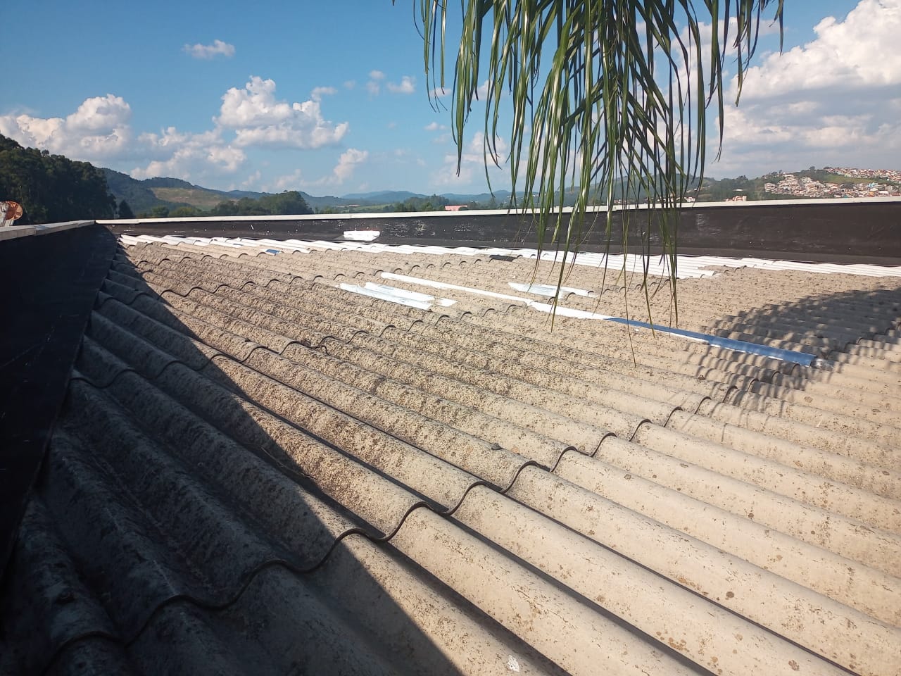 WhatsApp Image 2024-03-07 at 16.58.44 (1)